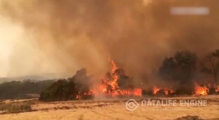 Ölkəni bürümüş yanğınla bağlı ordu hazır vəziyyətə gətirildi