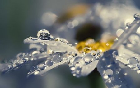 Avqustun ortalarında hava sərin keçəcək