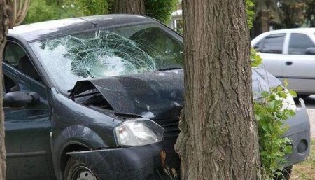 Goranboyda avtomobil ağaca çırpıldı, ölən var