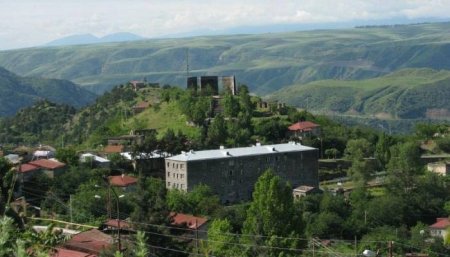 Laçını tərk edən ermənilər heyvanları belə öldürür - FOTO