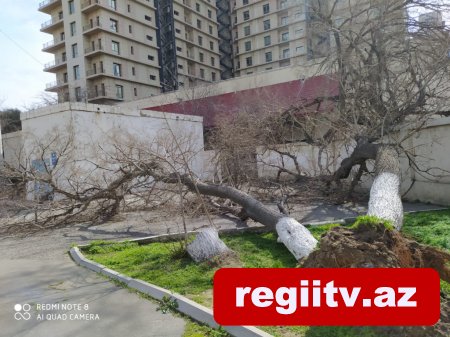 Bakıda daha bir məktəbin damı uçdu FOTO