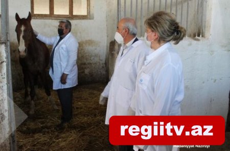 Mədəniyyət Nazirliyindən Şəkidəki Atçılıq Mərkəzi ilə bağlı AÇIQLAMA - FOTO