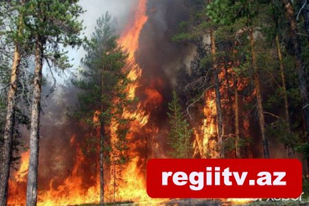 Yakutskda yanğın həyatı iflac etdi: Aeroport da bağlandı