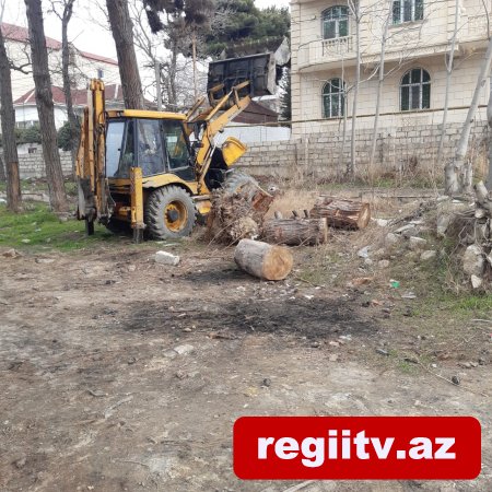 Bakıxanovda köhnə yay parkı kimlər tərəfindən zəbt olunub?