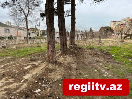 Bakıxanovda köhnə yay parkı kimlər tərəfindən zəbt olunub?